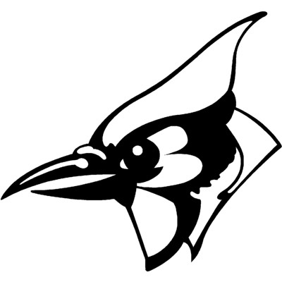 Bluejay